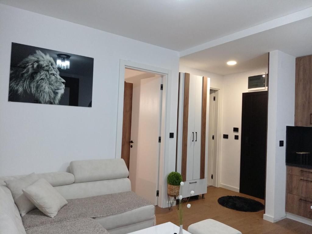 Apartman Mišić Zlatibor - 4