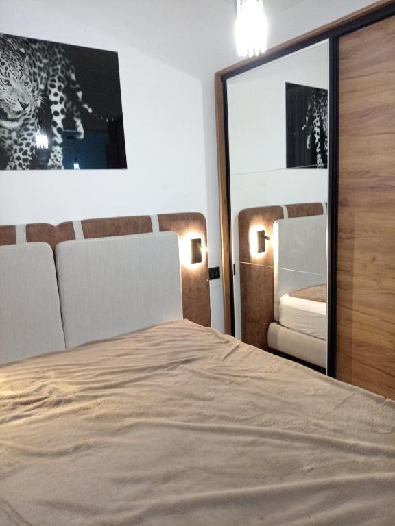 Apartman Mišić Zlatibor - 5