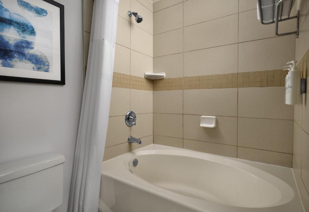 Hilton Garden Inn Tampa-East/Brandon バスルーム（客室）