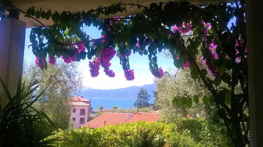 Gli Oleandri - 2