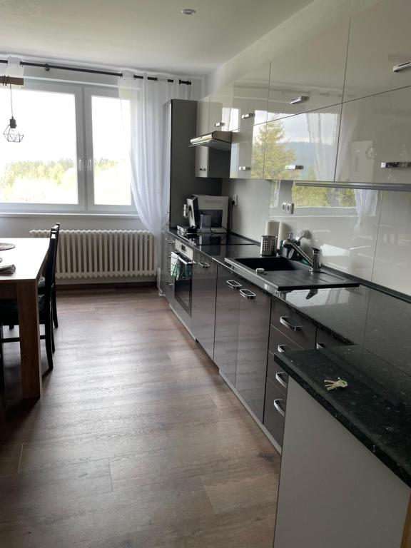 Apartmán Hojsova Stráž, Železná Ruda