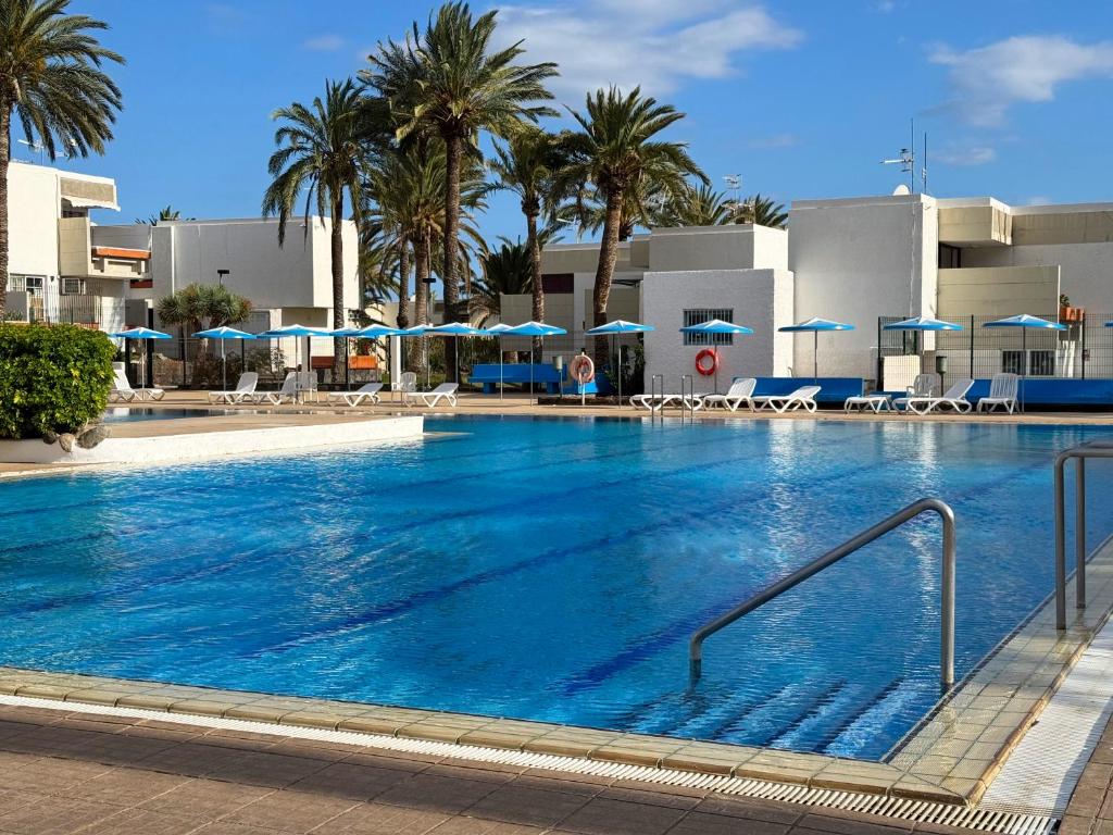 Primavera 293, Arona