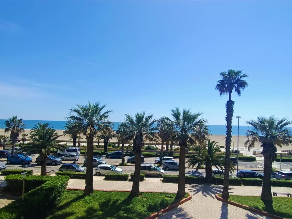 Canet-en-Roussillon - T2 rénové - 5 pers - Front de mer - FR-1-794-109, Canet-en-Roussillon