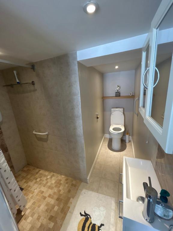 Studio Room, Great Parndon