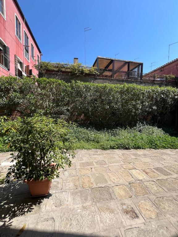 Casa Cordelina - Venice flat - 3