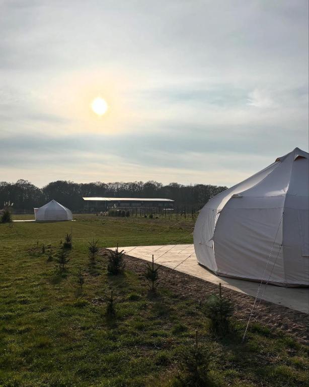 Orchard Retreats Glamping At Black Barn Farm Norfolk, Salhouse