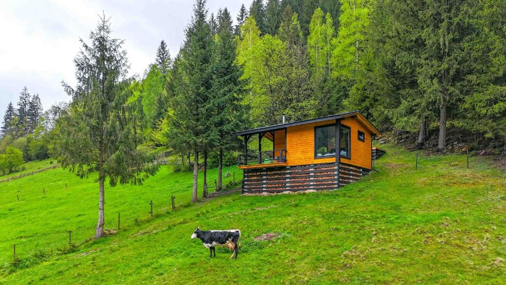 «Yo Hill» - «Йо Хілл» - Будинок в горах, Verchovyna