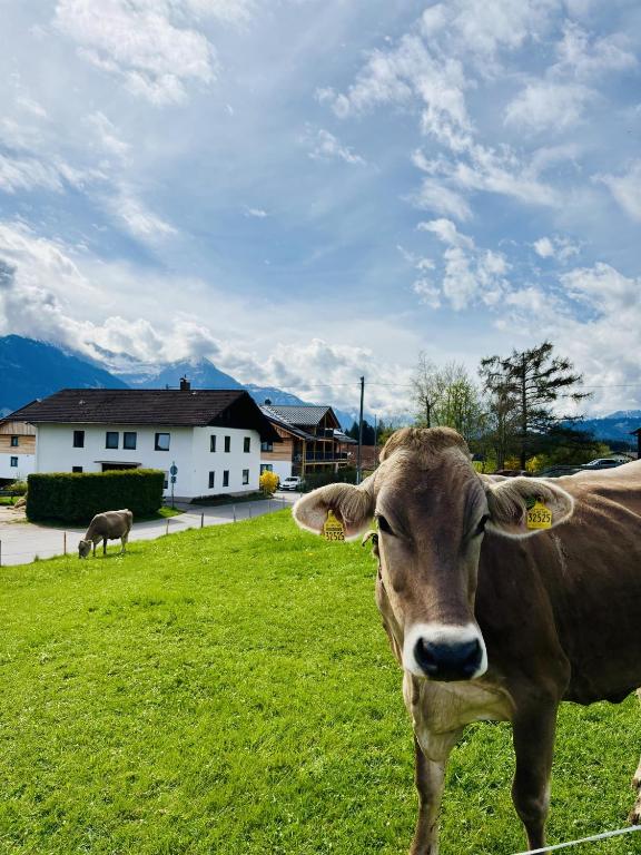 Ferienwohnung Allgäu-Traum - 4