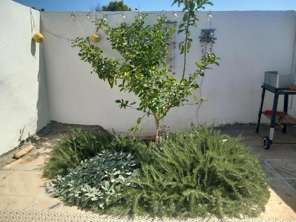 Sand Story Holiday Home - 3