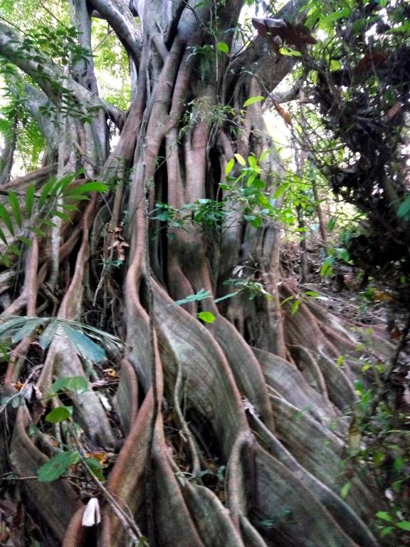 スポーツ/アクティビティ