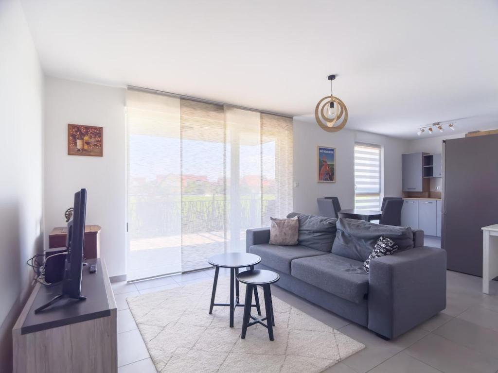 Parking privé - Accès PMR - Terrasse vue châteaux - 2 lits, Châtenois