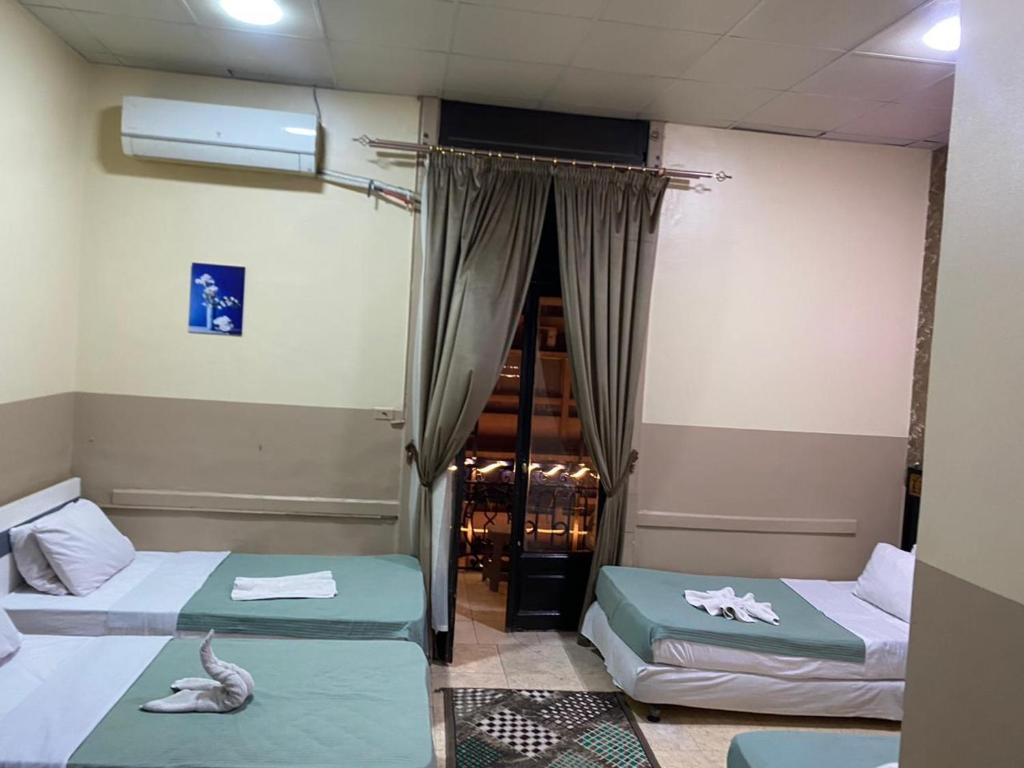 D One hostel, Káhira