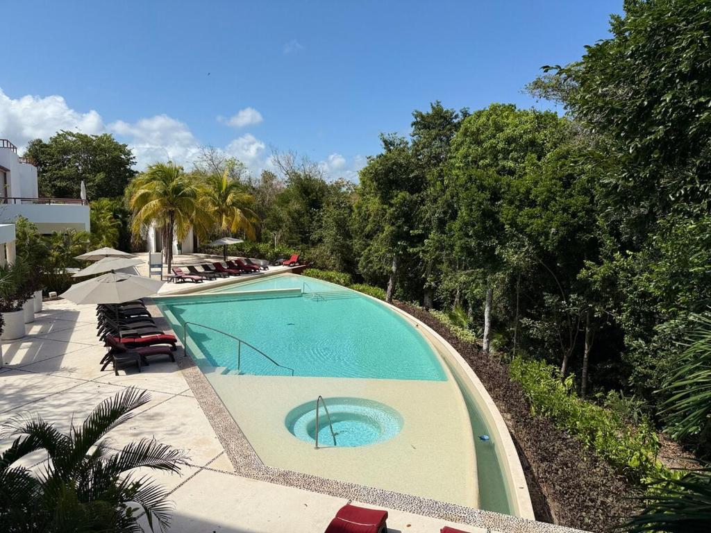 Selva Tulum - HiveNB - 3