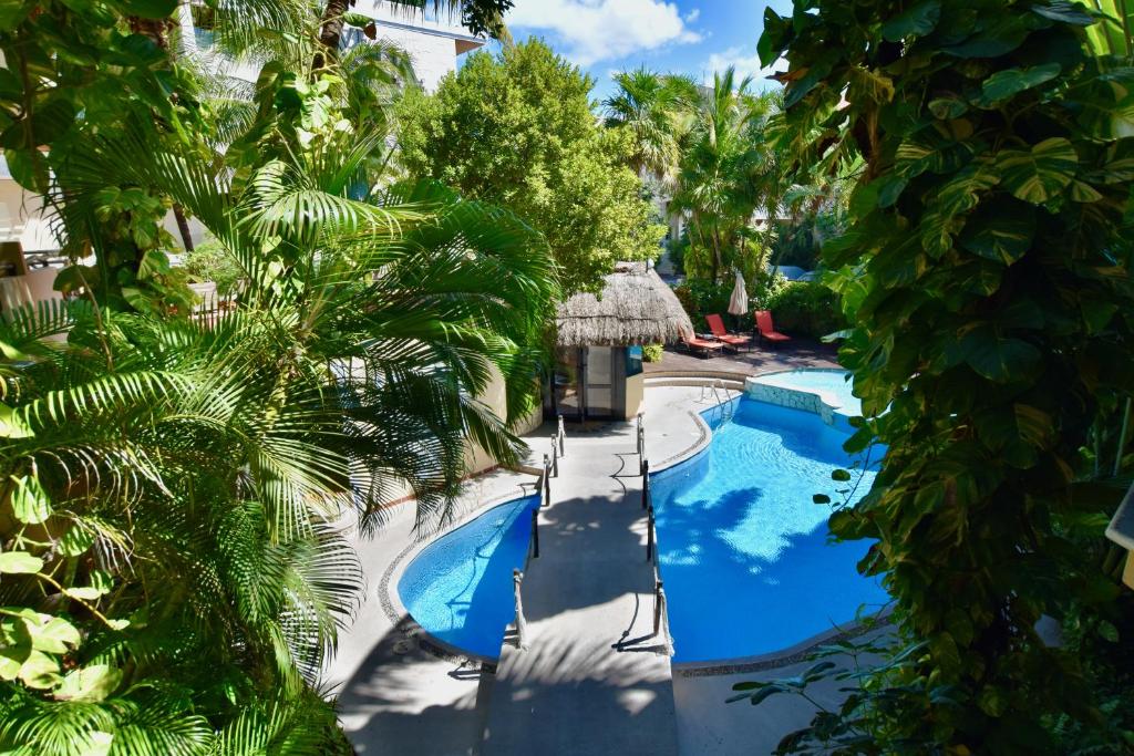 Riviera del Sol Amazing Double Queen Junior Suite 302 - 5