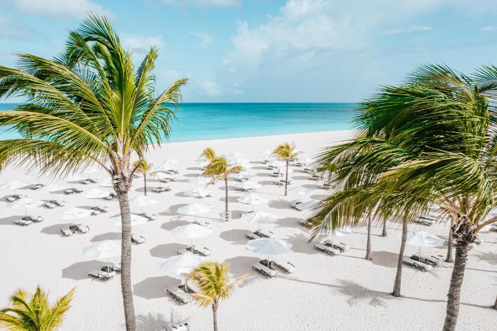 Bucuti & Tara Boutique Beach Resort - Adult Only — Beach in Oranjestad