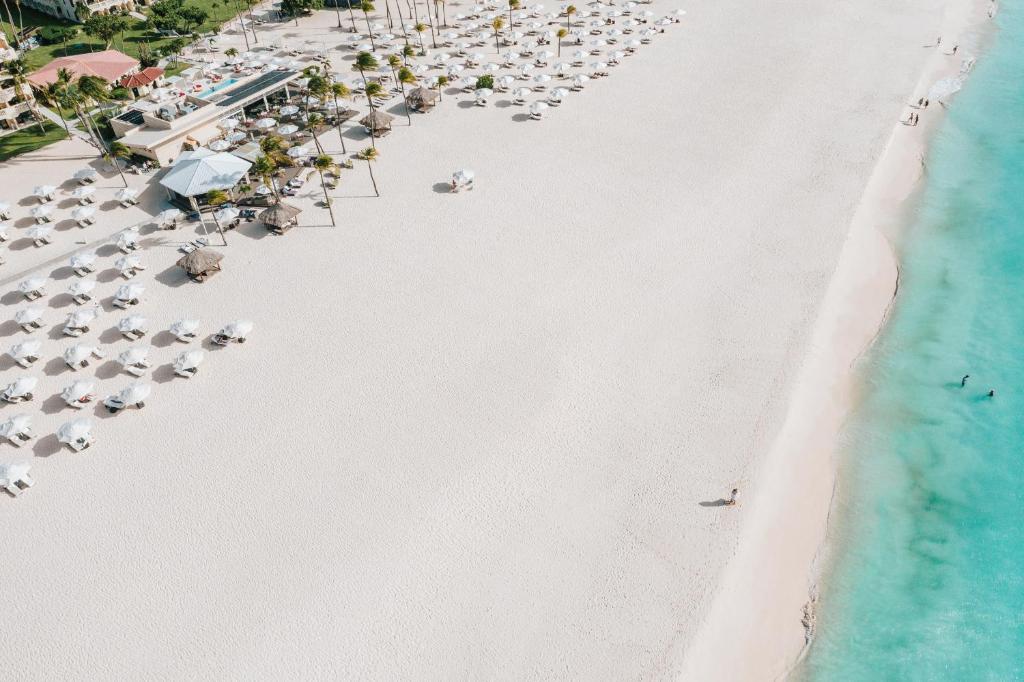 Bucuti & Tara Boutique Beach Resort - Adult Only — Beach in Oranjestad