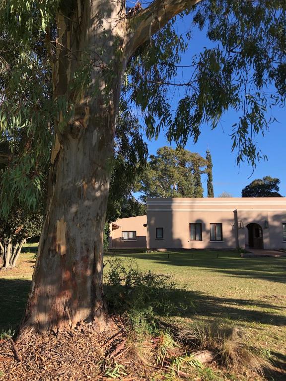 Tierra Aparts, La Cumbre