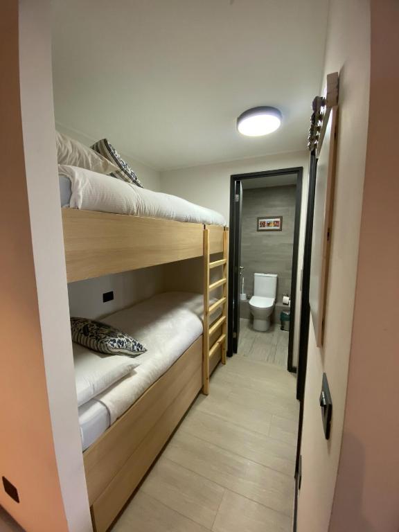 Apartment in Puerto Varas - 4