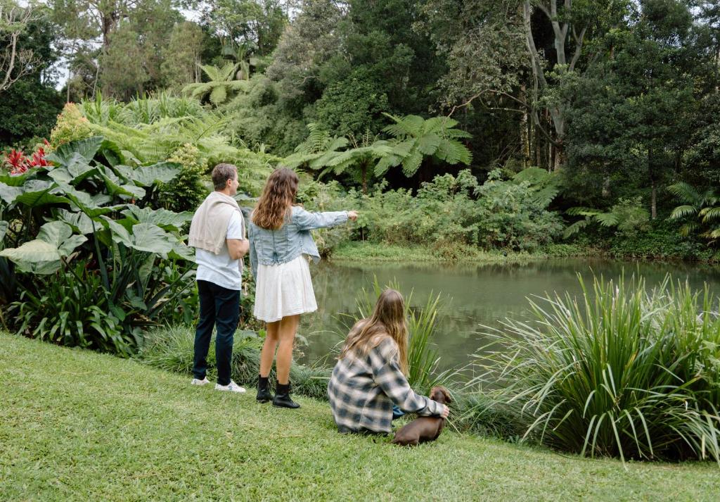 Relax Unwind This Summer at Nordic Star with Lake View, Maleny