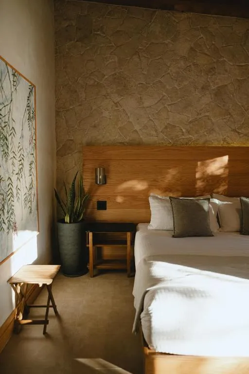 Casa Olivea, hotel v destinaci Valle de Guadalupe