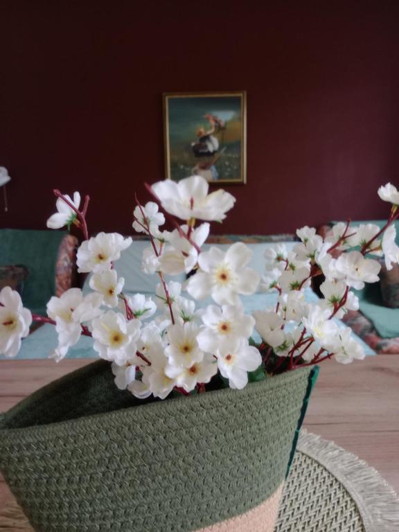 Apartman Kutak Nešić - 2