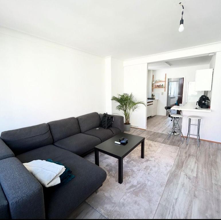 Antwerp Gem Walk everywhere, Antverpy