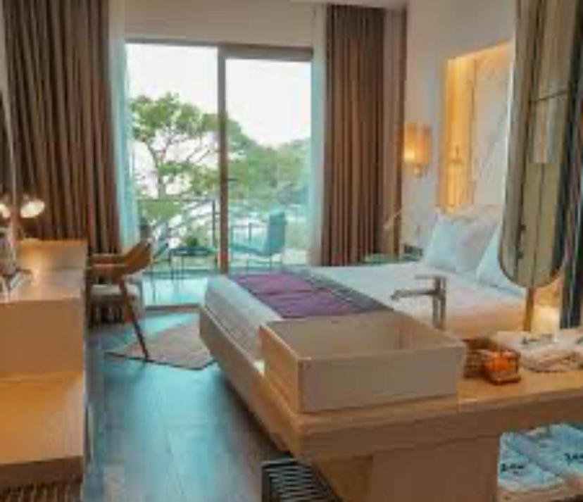 Theswallowotelapartment - 1