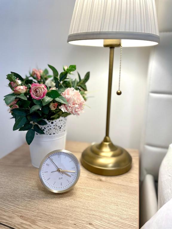 Tiara Vracar Apartment - 2