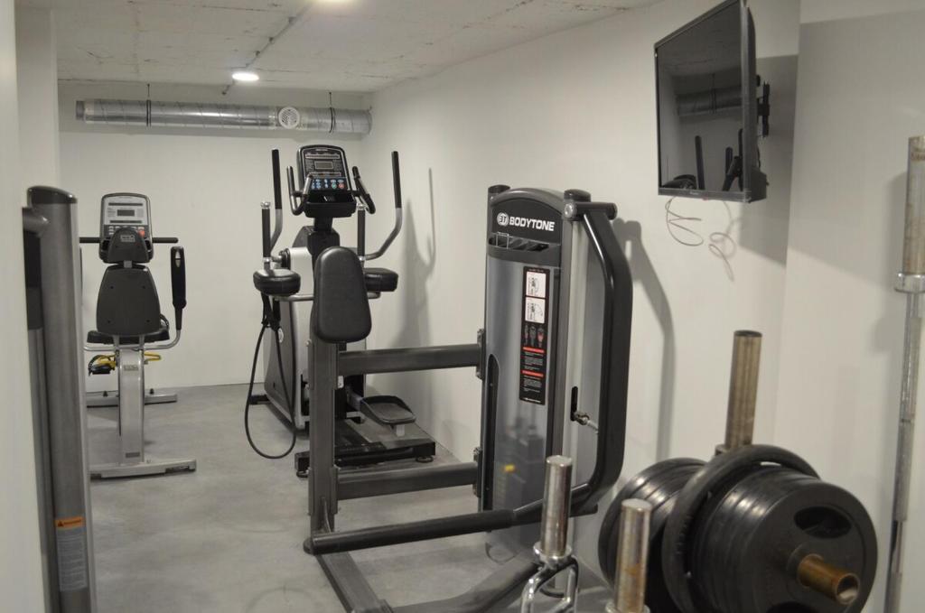 Luxury loft with a gym - 4