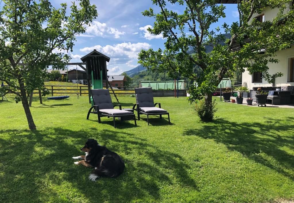 Rieserhof/Fam. Meißnitzer - 3