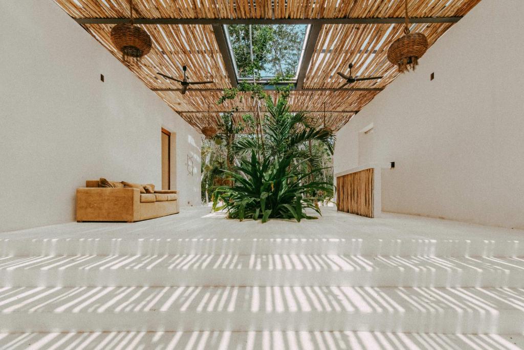 CHAY Reflection Lofts Tulum - 3
