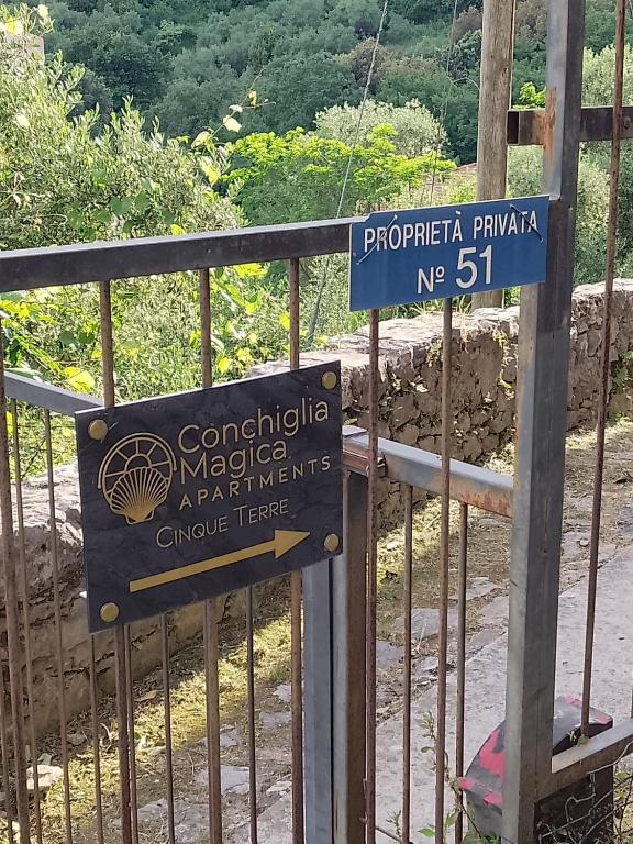 Conchiglia Magica Cinque Terre - 2