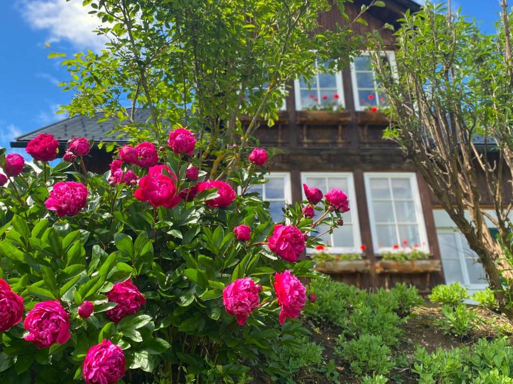 Villa Bellevue Altaussee - 2