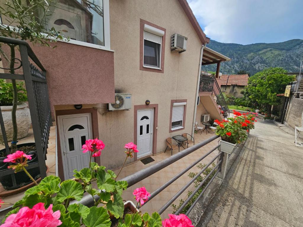 Apartment ALEKSANDAR, Kotor