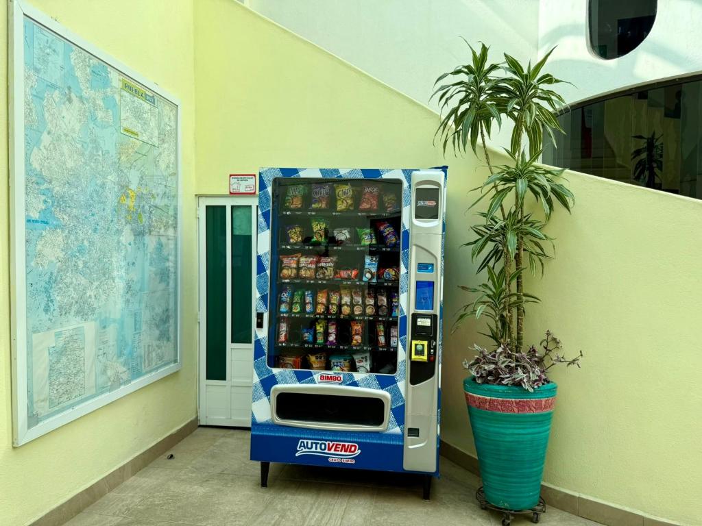 Hotel Arbis - 4