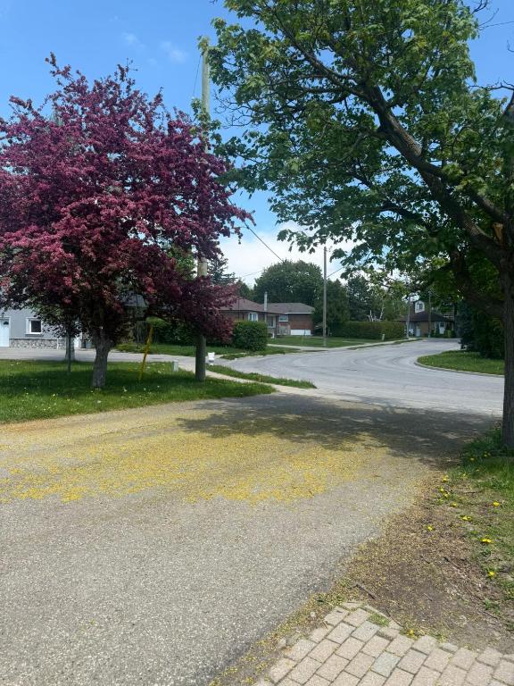 多伦多美丽房间- Great Location, Markham