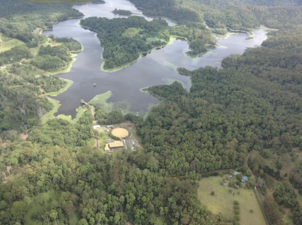 Mollys Farm, Dorroughby