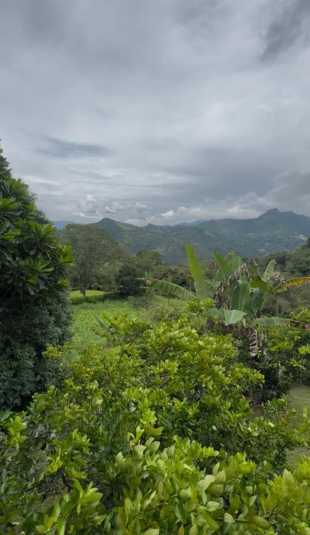 Finca Villa Julia - 2