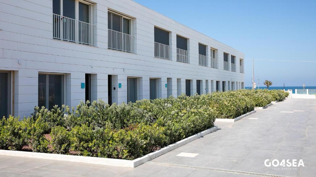 Suite on the beach, Bari