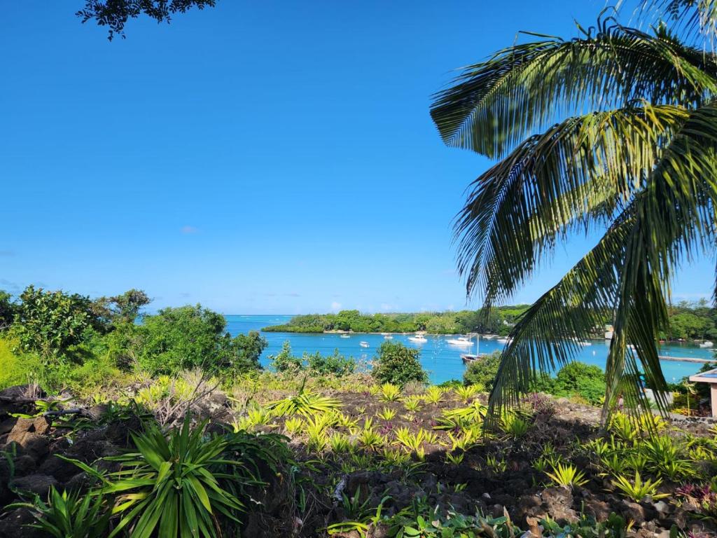 Beachfront Appartment, Trou dʼ Eau Douce