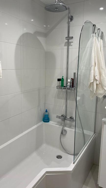 Studio Cannes Marina - 5