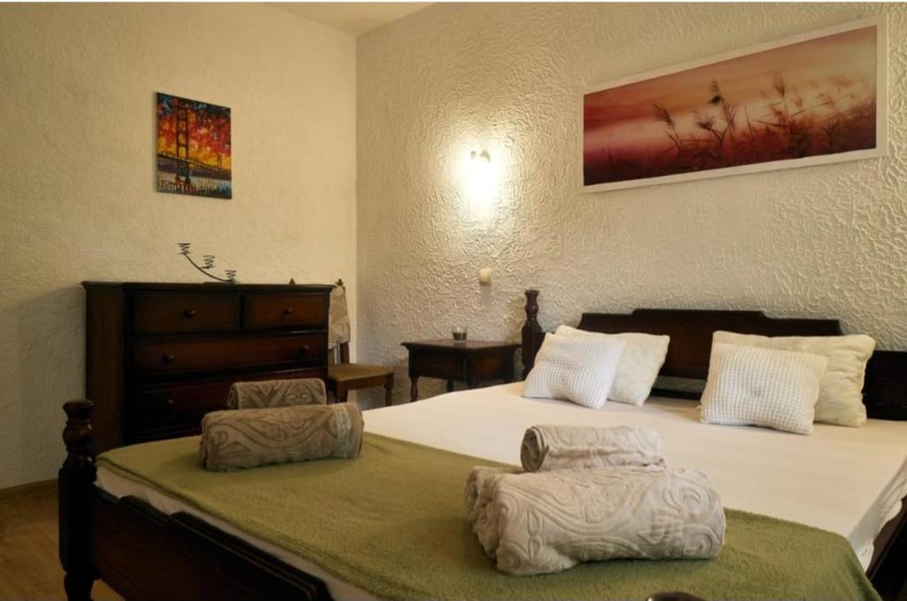 RomaOlyaHouse - 2