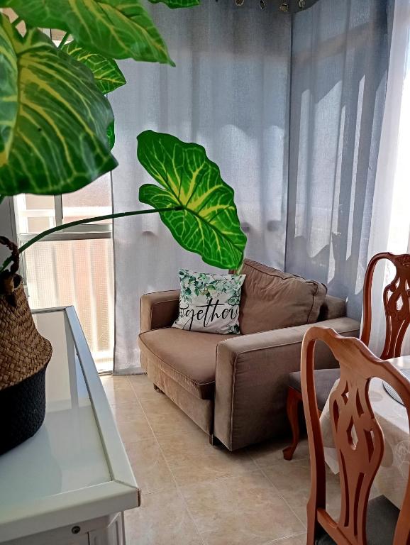 Apartamento Bro Mar - 4