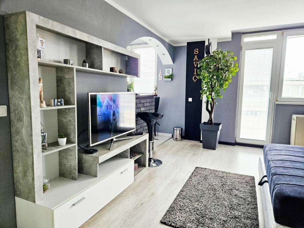 Savić Apartment CENTER - PARKING FREE, Niš