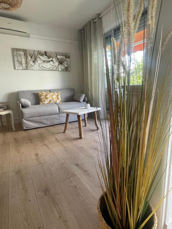 Studio 30 M2 Centre ville et Port - 4