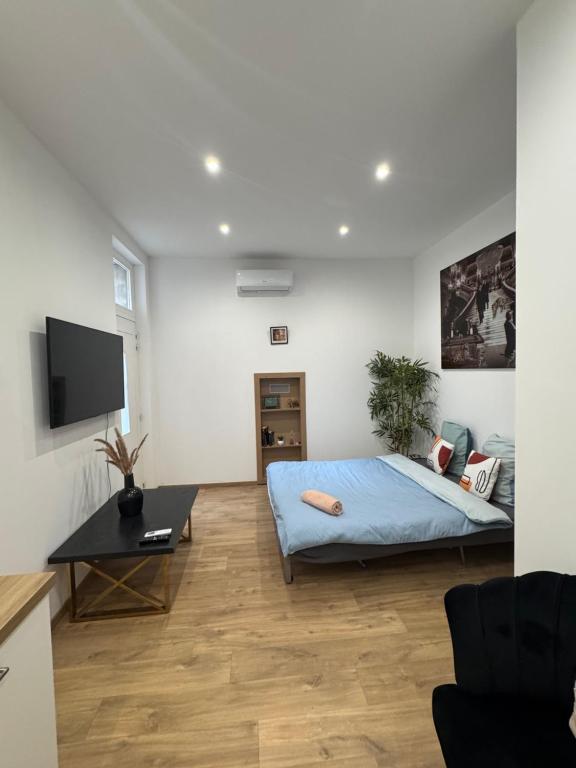 studio entier, Montauban