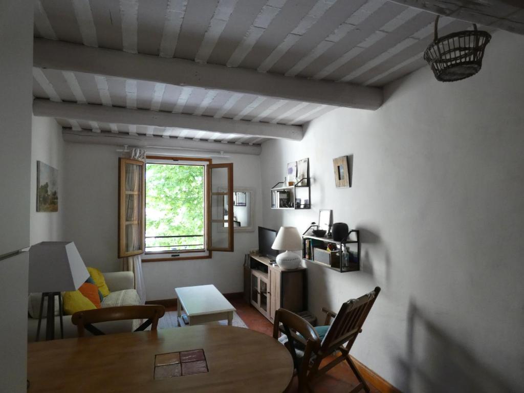Duplex en plein centre de L'Isle sur La Sorgue - 3
