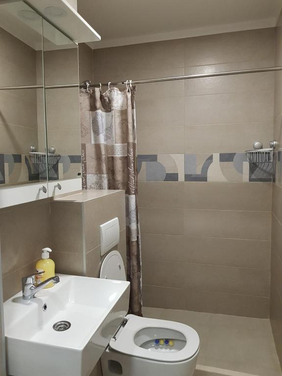 Spacious and comfortable apartment - 5