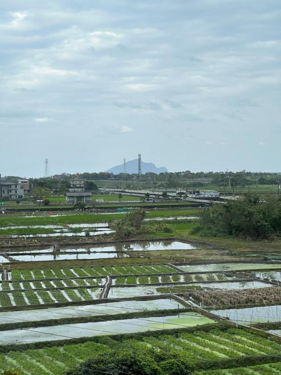 Surrounding environment