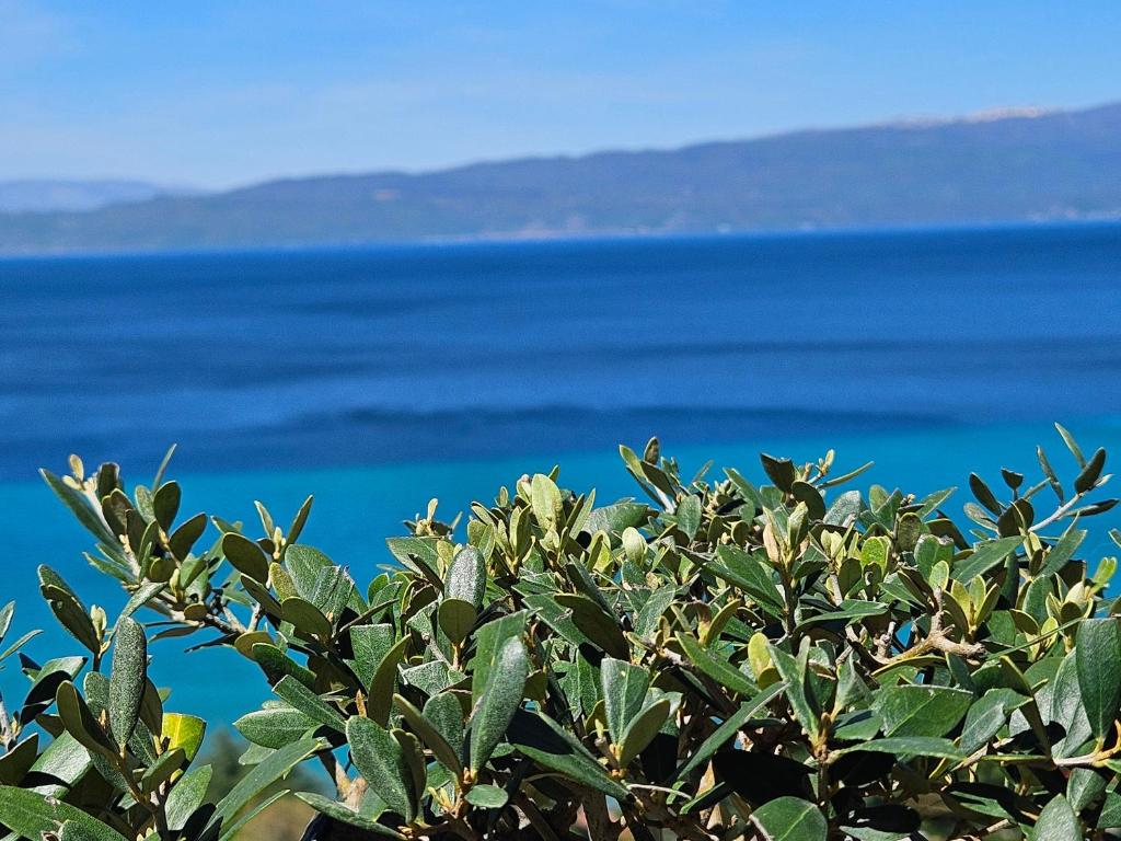 Konaci Manastir Sveti Stefan - Ohrid, Ochrid